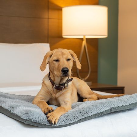 Staybridge Suites - Hillsboro North By Ihg Zewnętrze zdjęcie