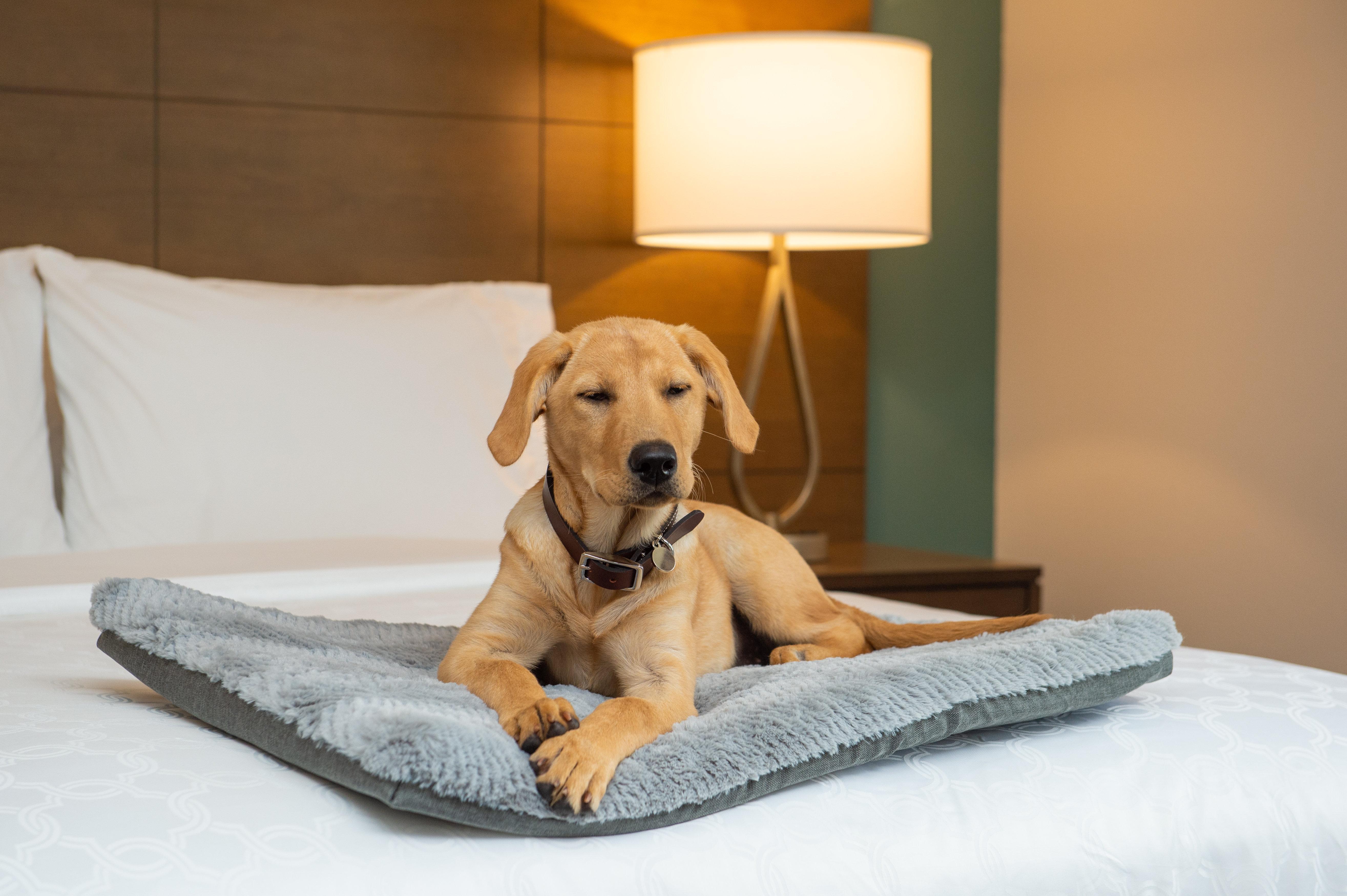 Staybridge Suites - Hillsboro North By Ihg Zewnętrze zdjęcie
